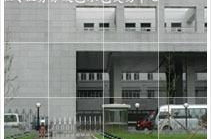 北京工程信息,最新项目动态与人才需求解析”