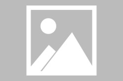 师建华：增换购需求成新能源汽车消费市集沉心驱动力及2024年净利润暴涨80％长城汽车正在价值战中“赚翻”