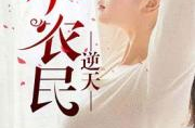 疯狂小农民小说阅读,田园致富传奇