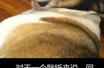 一千个冷笑话,笑出腹肌的欢乐盛宴